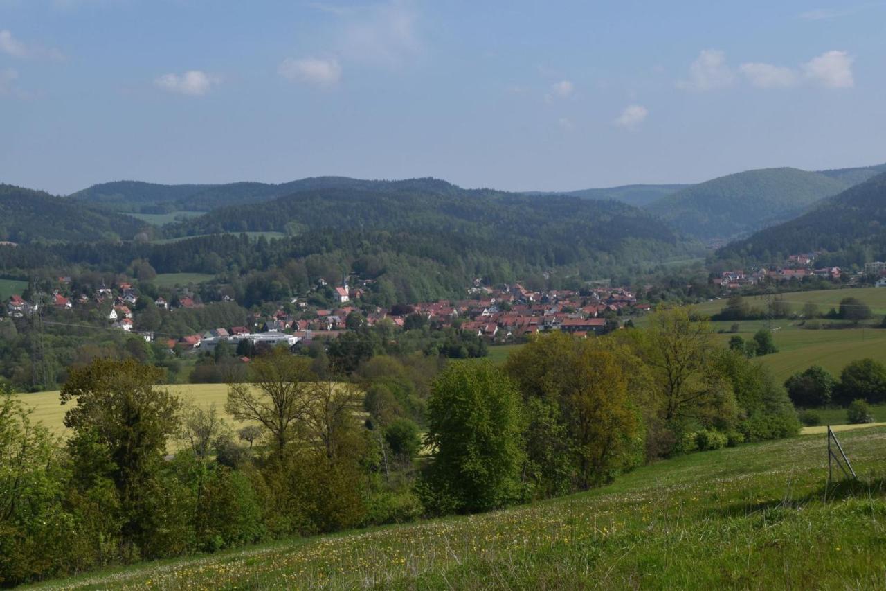 Ferienhaus zur Waldauer Höhe mit 3 SZ, 120qm&40qm Balkon Schleusingen Exterior foto